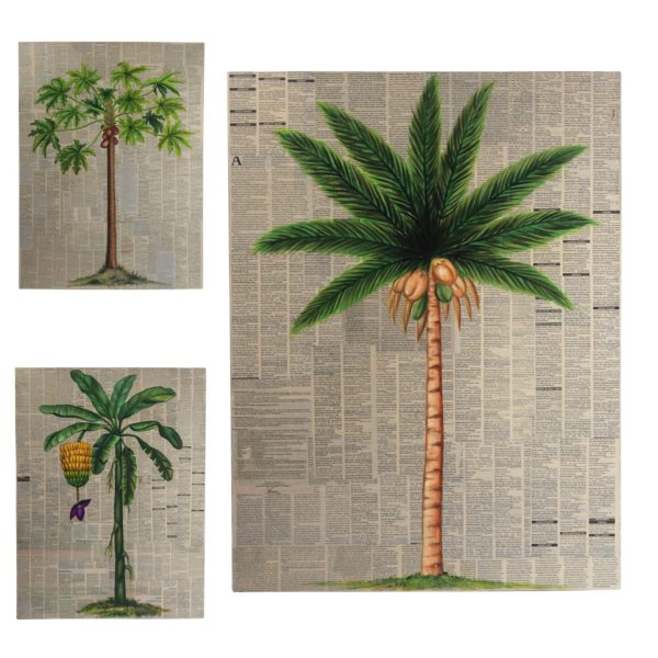 Expressionsmetis Home Decor Wall Art Decoration Tropical Tree Paintings Botanical